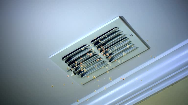 Best Residential Air Duct Cleaning  in Clare, MI