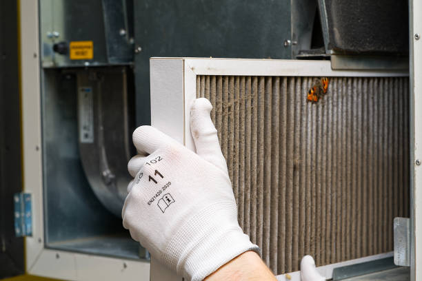 Best Air Duct Cleaning Cost  in Clare, MI