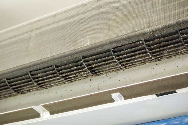Best Air Duct Cleaning Near Me  in Clare, MI