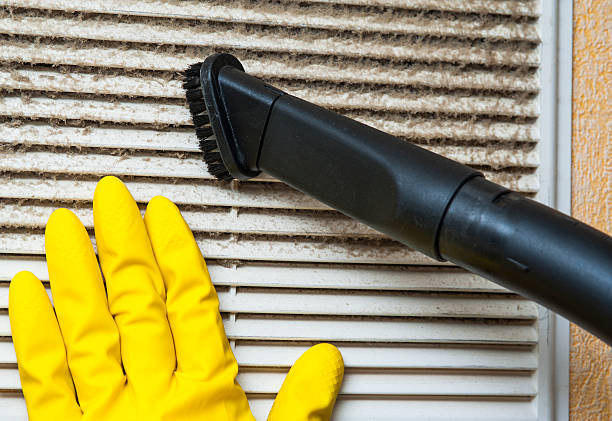 Best Local Air Duct Cleaning Services  in Clare, MI